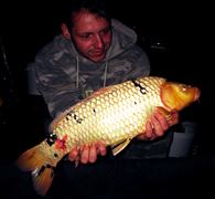 Fishi fishi 